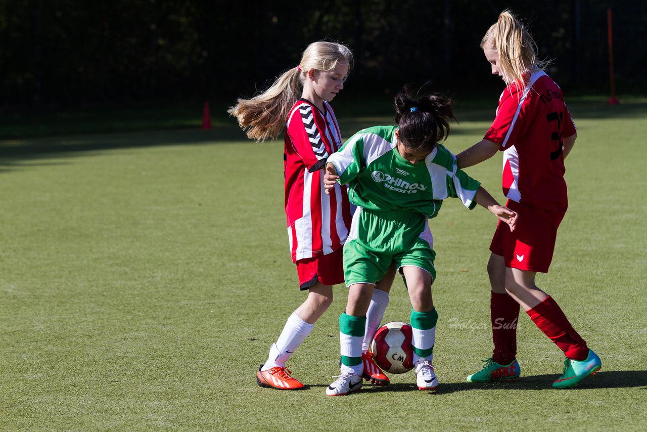 Bild 186 - C-Juniorinnen Kaltenkirchener TS - TuS Tensfeld : Ergebnis: 7:0